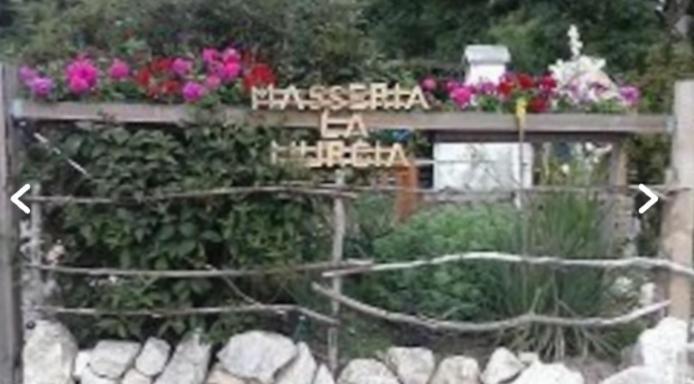 Wildcamp Resort Masseria La Murgia Unterkunft In Einem Wohnwagen Rimbach  Экстерьер фото